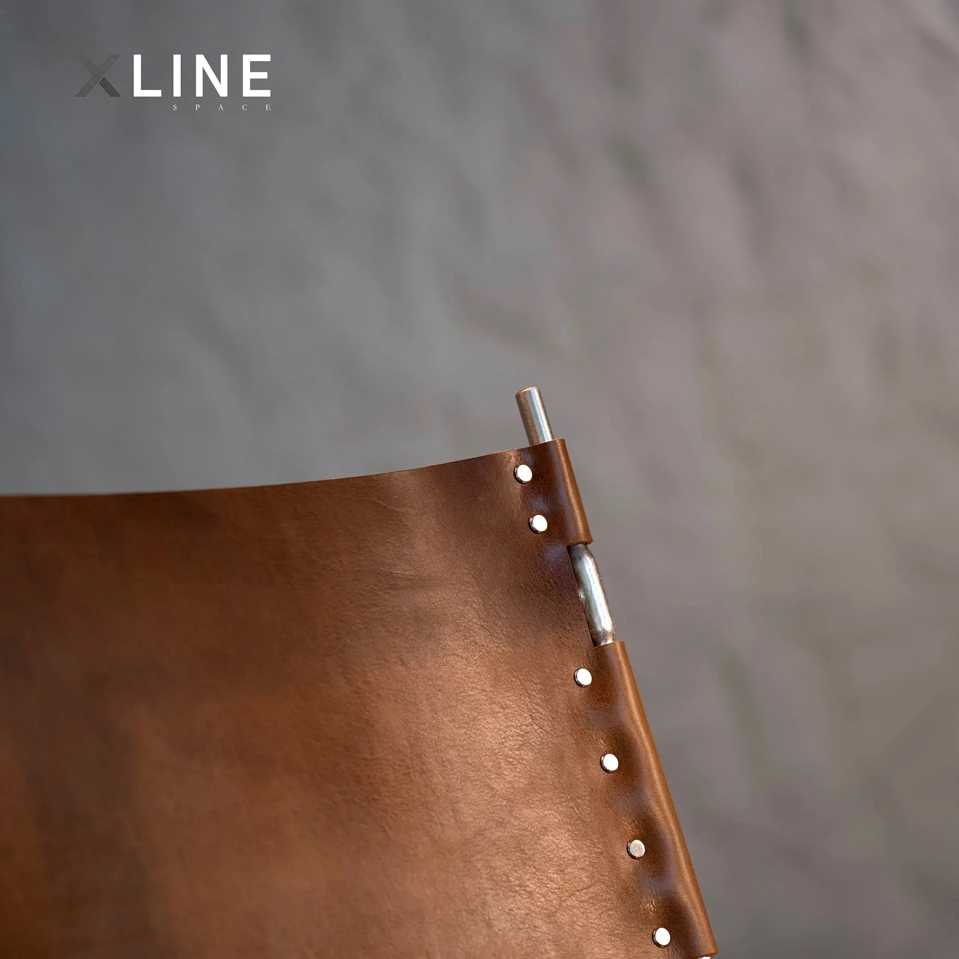 Xlinespace Modern Italian Vegetable - Tanned Leather Chair with 304 Textured Stainless Steel Frame